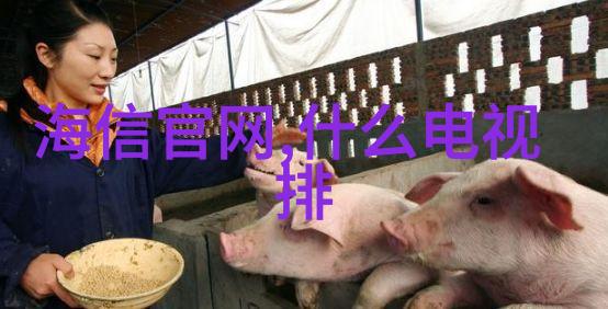 不同型号的不锈钢管退火炉在温度控制上有什么区别