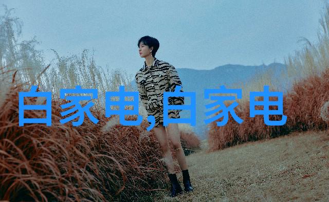 清洁至尊环氧乙烷灭菌的无所不包领域