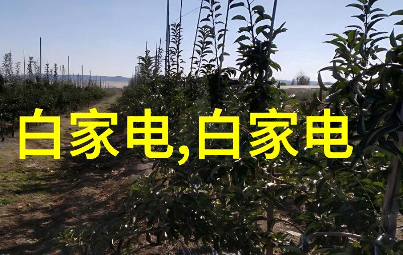 消毒灭菌-清洁之道消毒灭菌的重要性与实用技巧