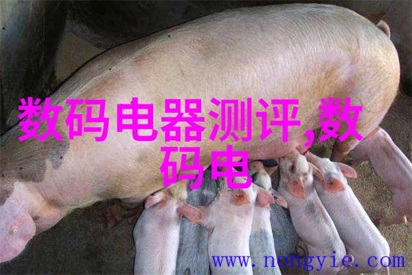 金融市场的波动与股票投资策略基于大数据分析的风险管理研究