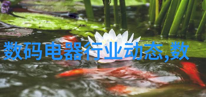 如何巧妙利用空间打造既实用又美观的厨房小阳台