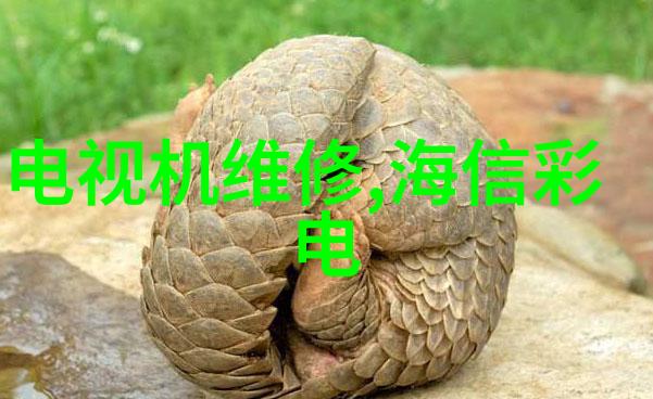 郑州铁路职业技术学院铁轨上的学术之旅