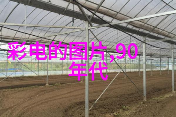 镜头下的中国探索十大著名摄影师的视觉世界