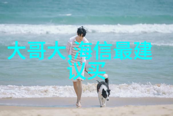 客厅区域