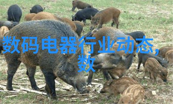 苹果在中国召回63万个膝上型电脑电池可能存在燃烧风险_行业