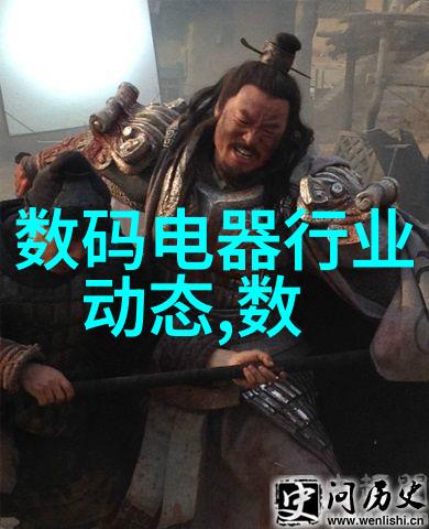 国精产品999揭秘视频背后的创新与魅力