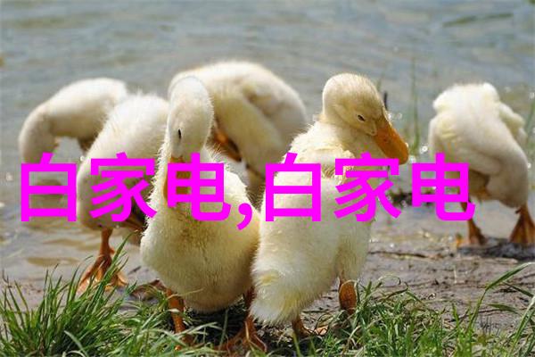 创意满分小技巧让你的拎包装修更省钱更美观