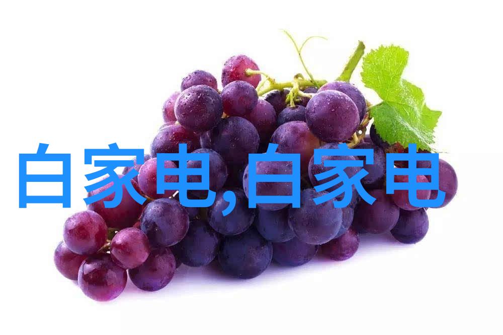 中南财经大学金融教育的新风尚