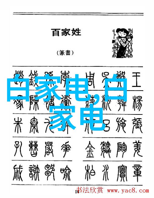 AI助手在家用电子产品中的应用前景如何