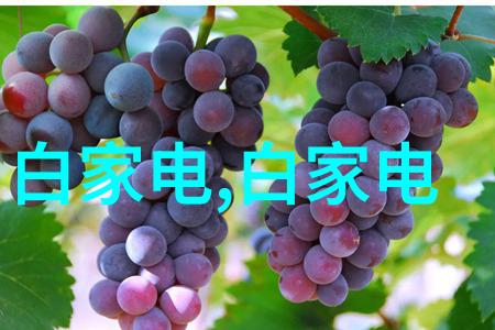 广东不锈钢管厂家联系方式研究探索区域产业链的动态与市场趋势