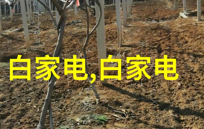 如何将本年度的目标设定与实际完成情况相结合进行评估呢