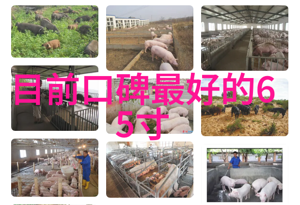 液体净化之器压滤机的精准筛选与高效分离