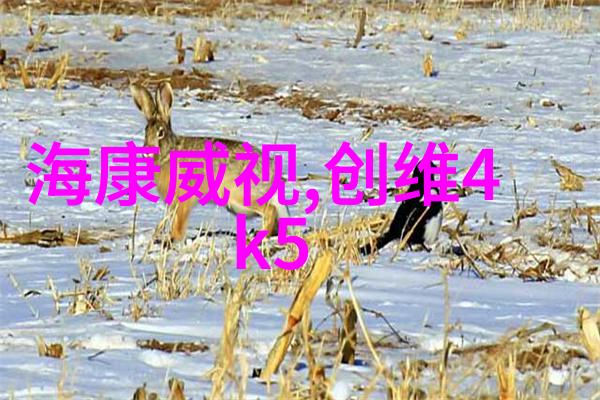 水质快速检测仪器环境监测的利器与时尚