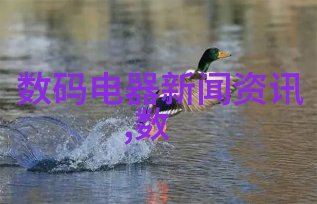 部门水费收取标准与流程解析