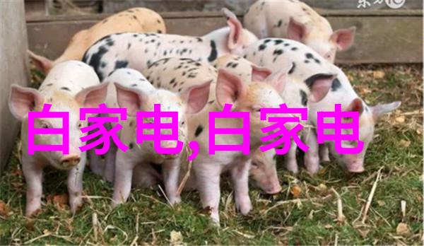 西安财经大学钱不够用理财先行