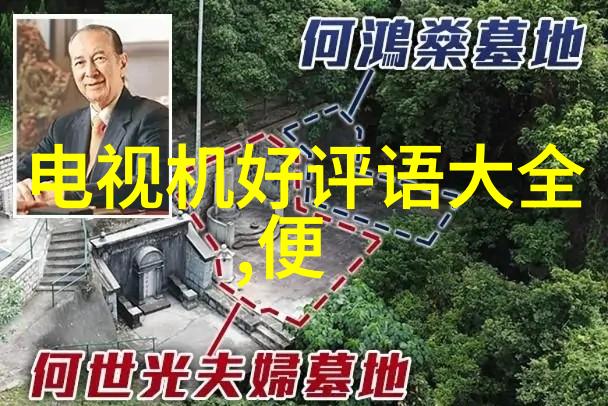 绿色出行新篇章未来新能源汽车技术的就业宝地