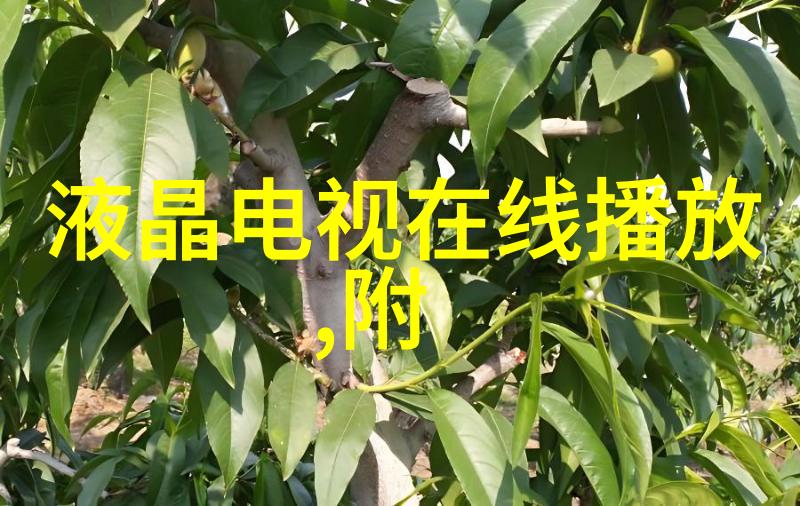 十大家庭必备电器家用电器排行榜