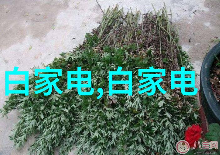混捣机器揭秘混合搅拌设备的运作原理与应用广泛性