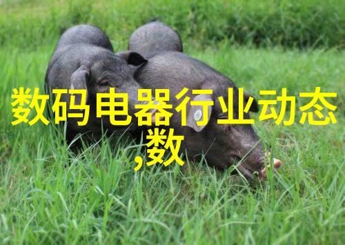 华为应用市场我是如何在华为应用市场上发现隐藏宝藏的