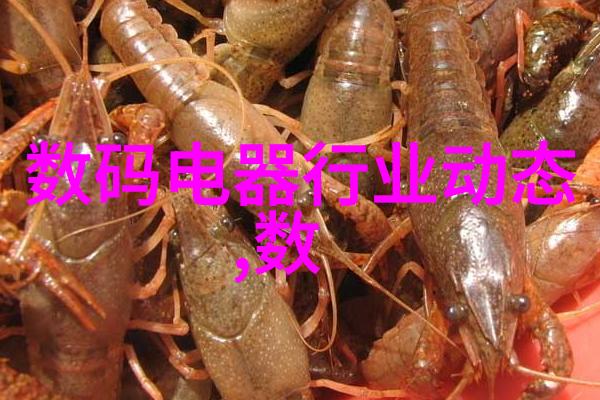 我是如何学会了乳化剂的秘密的