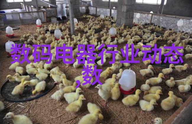 微波干燥技术与设备高效率低能耗的食品加工革命