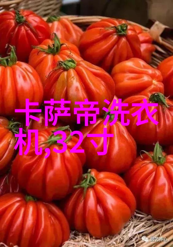 实战摄影技巧如何拍出精彩的视频教程