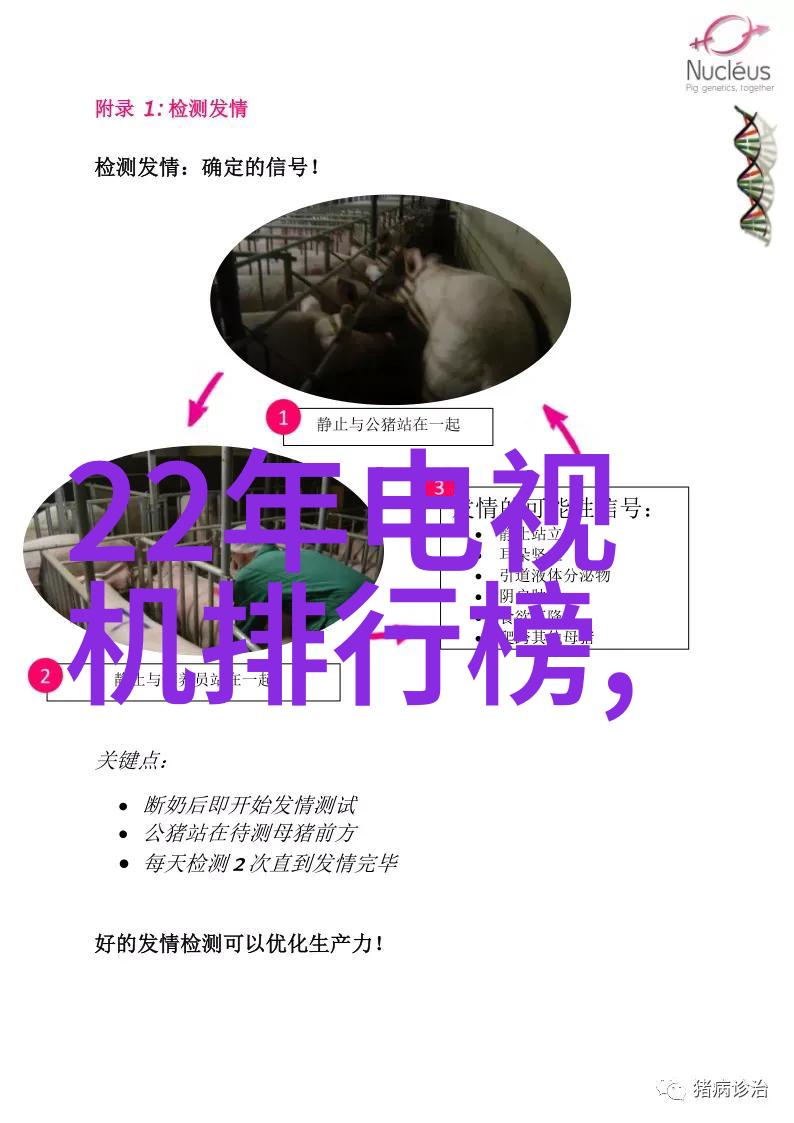 全自动导热油电加热器智能温控安全高效的厨房伙伴