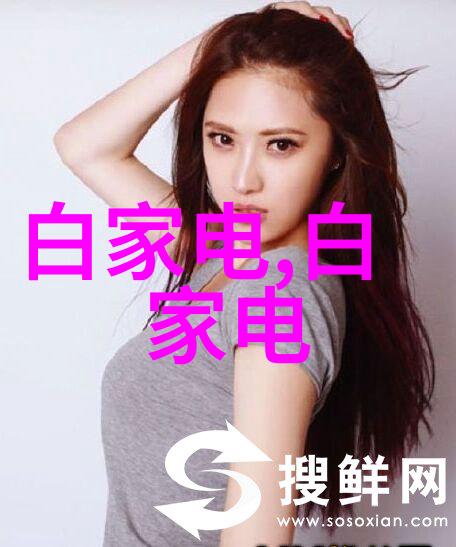 揭秘2021国内芯片强手领航者与新星的激烈竞争