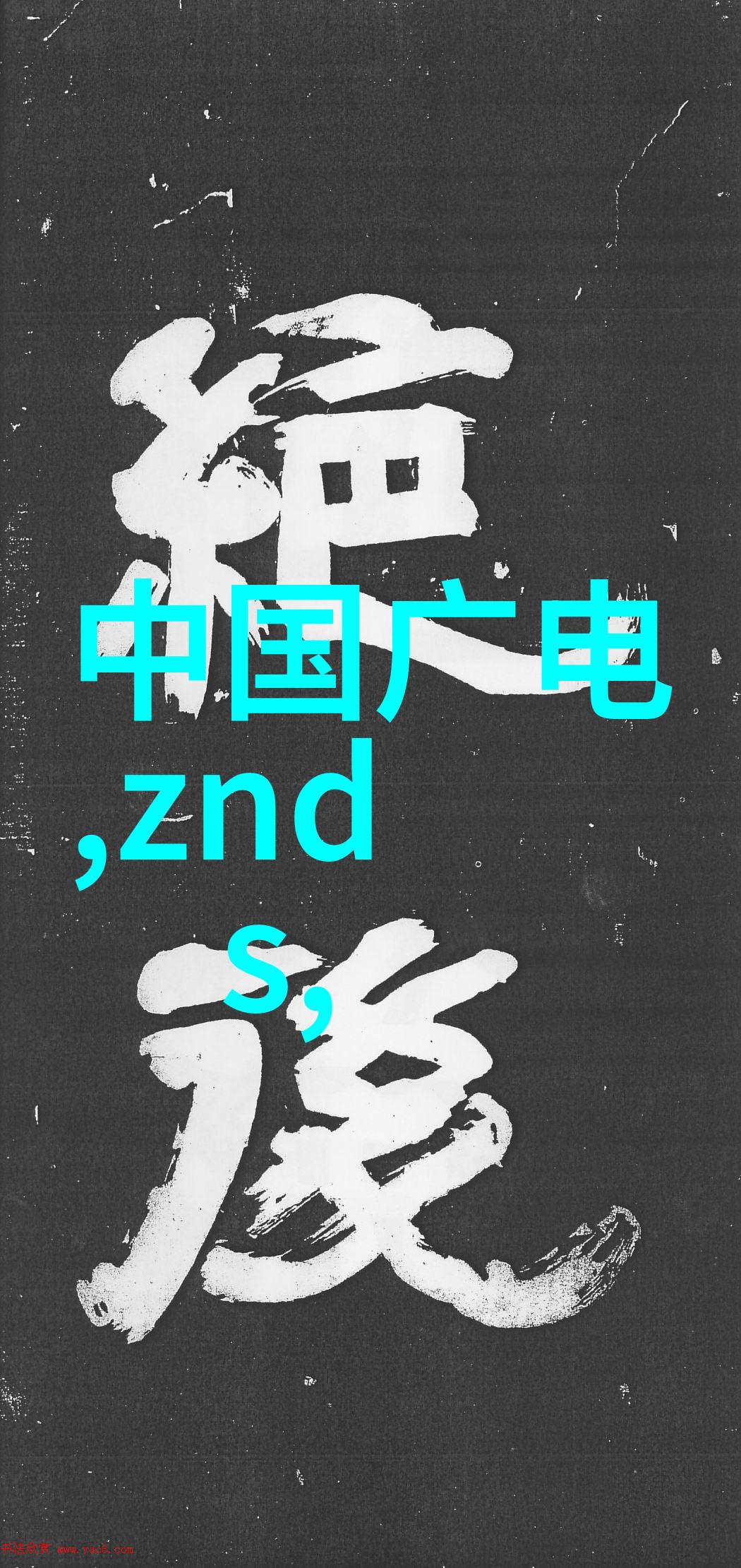 镜头背后的秘密人像摄影网站的隐藏故事