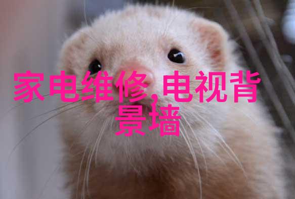 汽车的脉动从引擎到轮胎一切都在这里