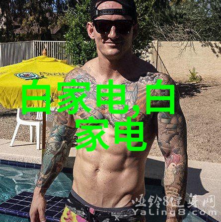 芯片的基本结构简析