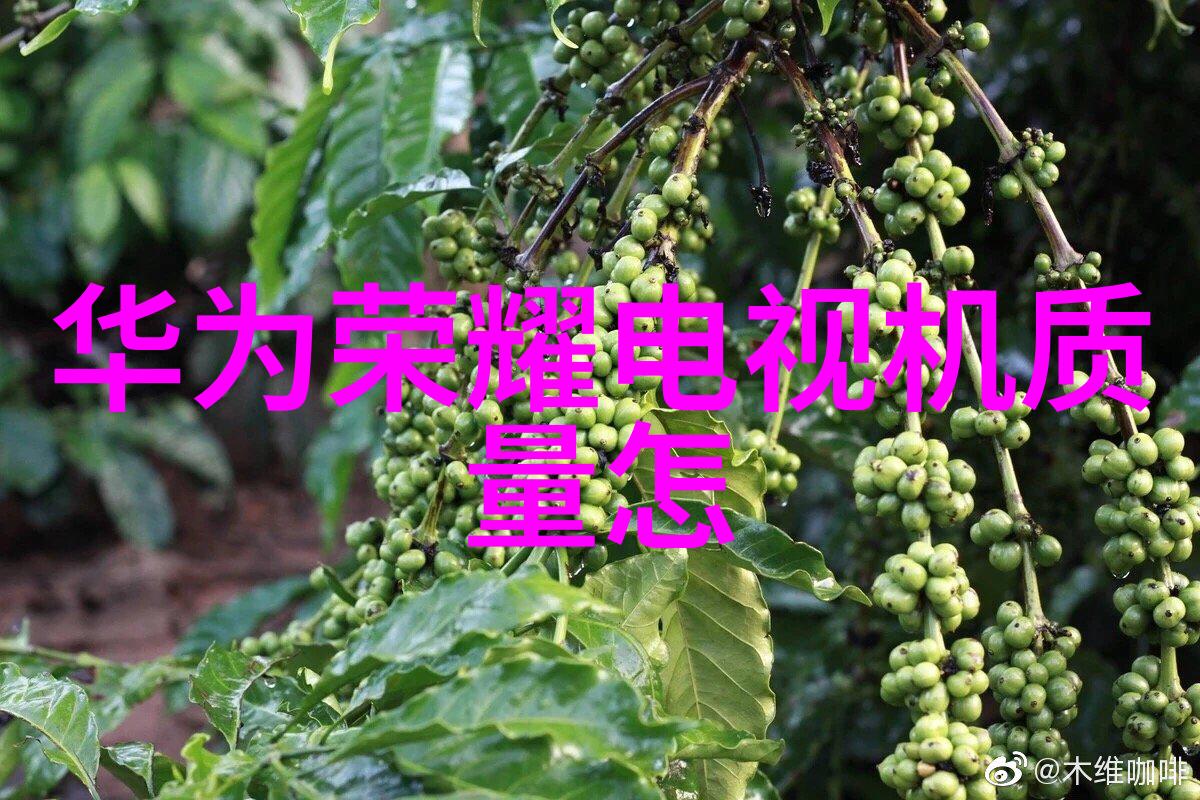 国际合作与自主创新并重中国芯片行业的未来走向探讨
