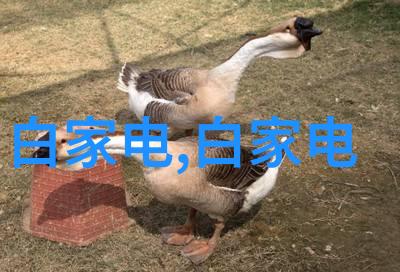 绿巨人APP下载秋葵官网一站式解锁超级英雄体验