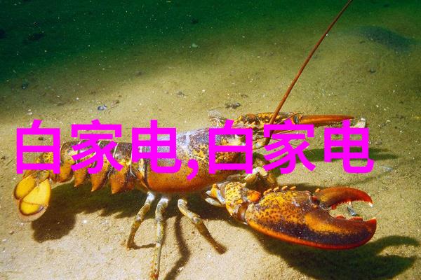螺旋卸料离心机在现代化物流中的应用与创新发展