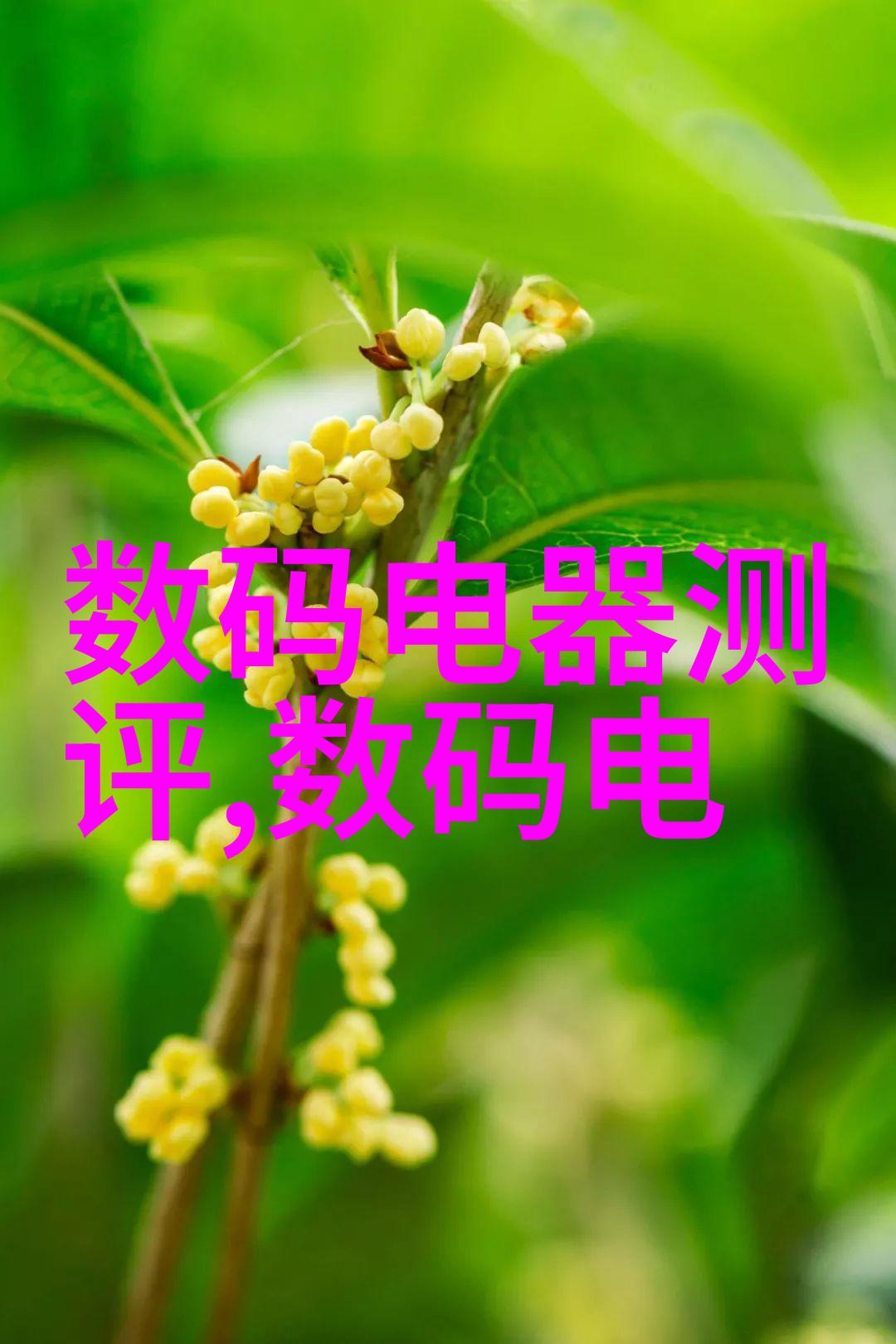 开心四房播播-春日暖阳下的幸福分享会