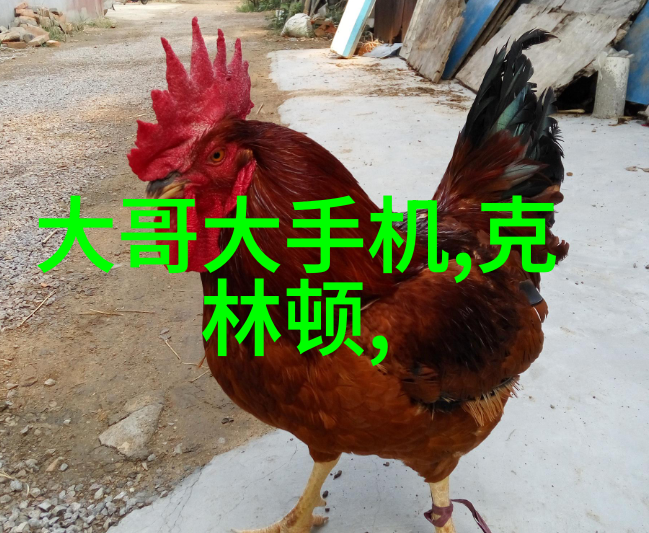 探索PCB专业打样厂家的精髓从设计到制造的全方位服务