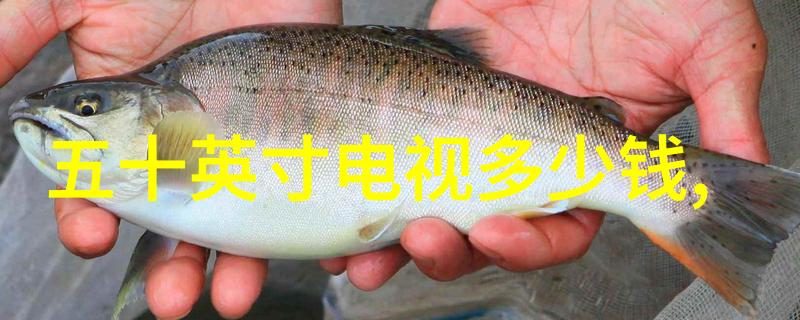优化雨期房屋隔热性能节能减排实践指南