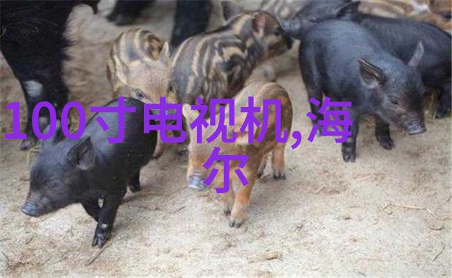 买车我是不是该升级一下我的老底了