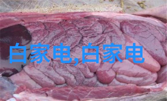 202GGY钙站守护硅谷的科技堡垒