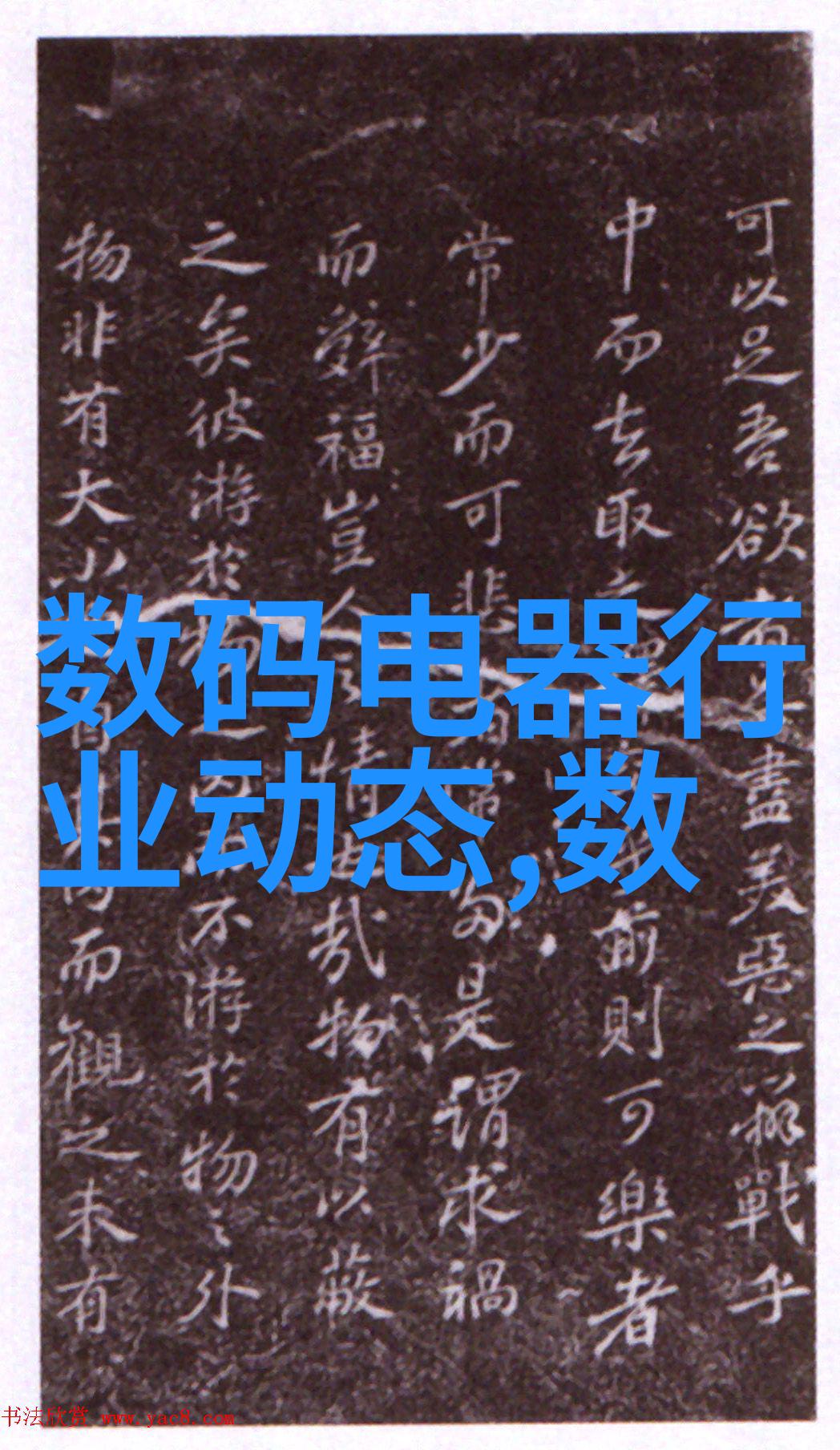 人才评估测试答案-智慧展现揭秘人才评估测试的奥秘