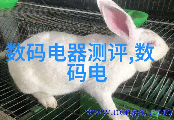 网络安全防御者与守护者