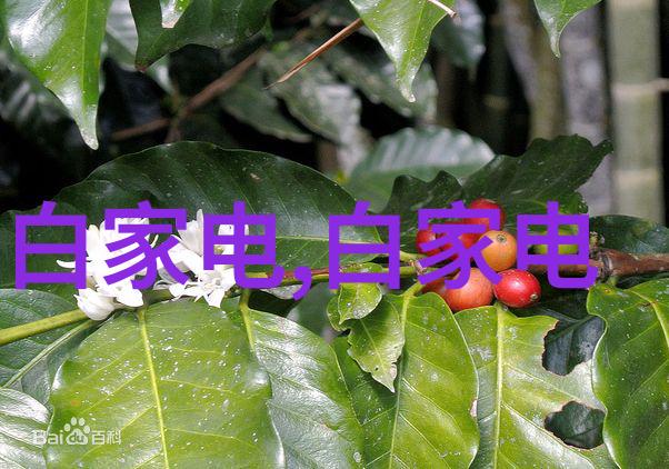 兰州财经大学之谜失落的财富与藏匿的秘密