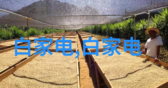 防腐材料我是怎么发现自己家里的木制家具开始霉变的