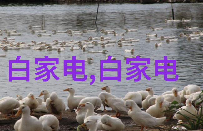 专利技术破碎机创新设计提升资源回收效率