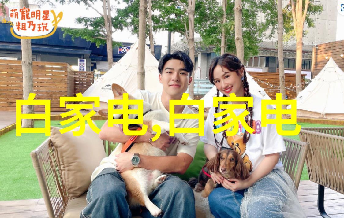 2. 3C自动化设备龙头企业的研发创新策略是什么