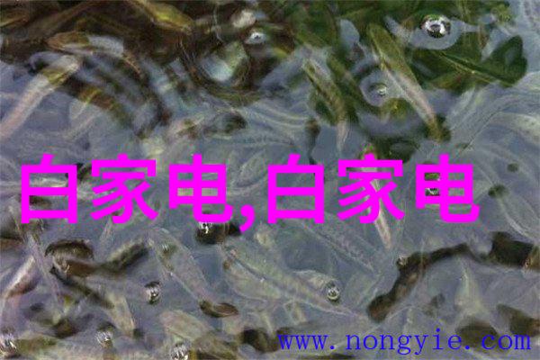 防疫消杀报价表一平米的清洁标准与成本分析