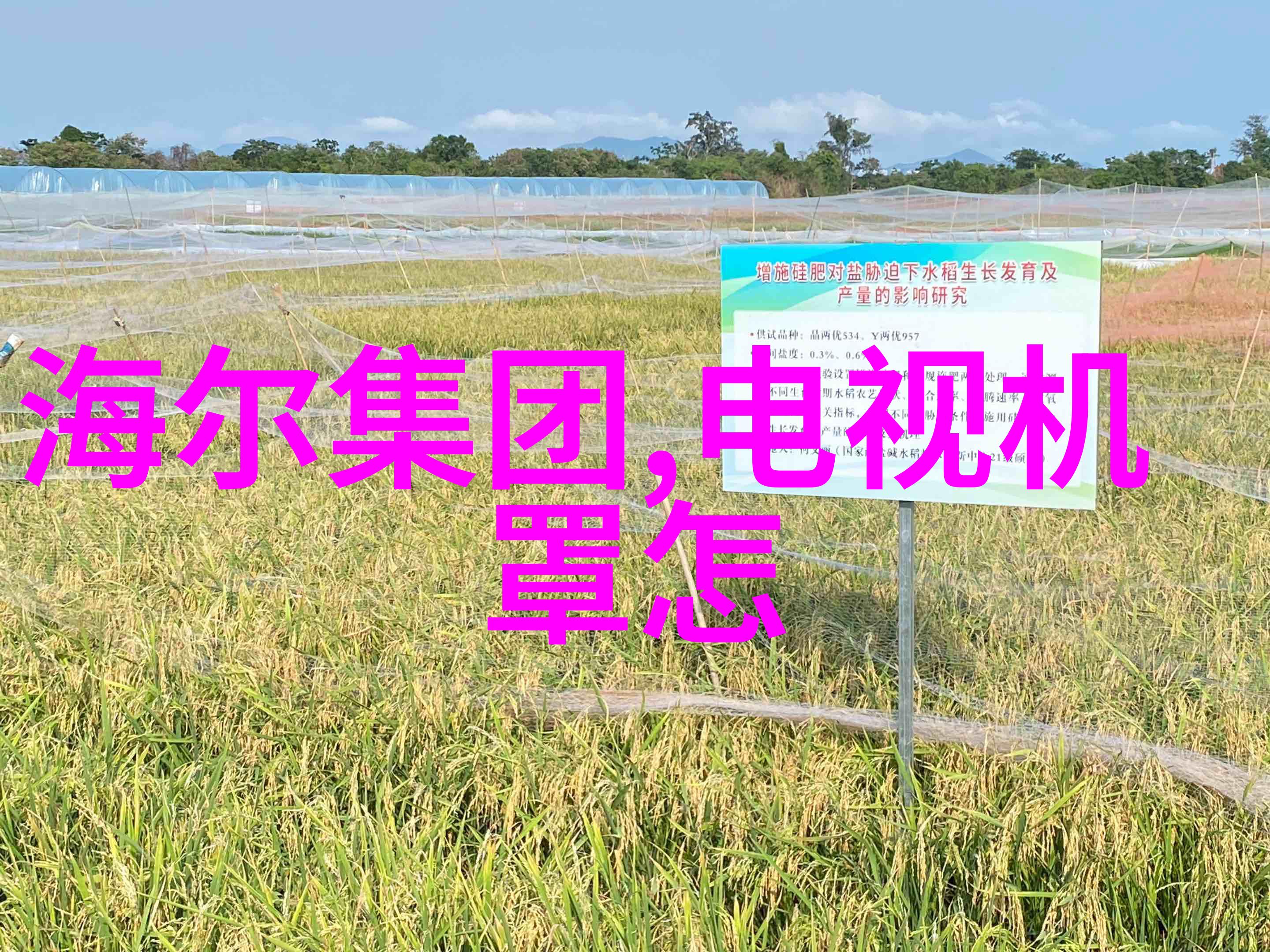 人性之光揭开机器人外衣的真相探索