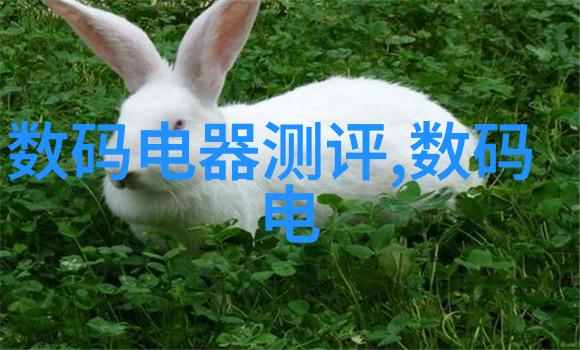 四川托普信息技术职业学院卓越的数字科技教育