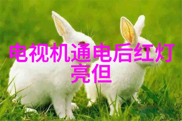 不锈钢货架的维护小贴士延长使用寿命