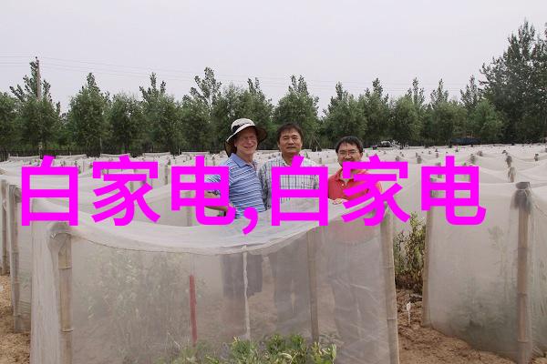 主题我是怎么知道的这家店的PE管管材批发价格超级合理